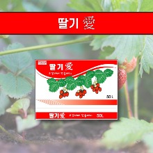 딸기상토  딸기애 고설재배 배지용